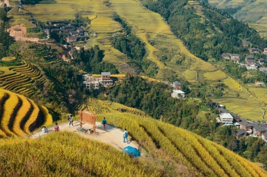 the-Longji-Rice Terraces the-Longji-Rice Terraces